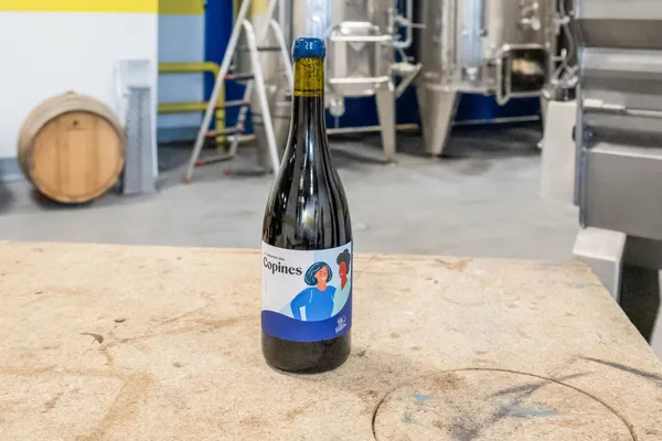 Dégustez un accord de 7 vins naturels et 5 fromages artisanaux - Image n°4 - Wecandoo