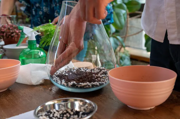 Fabriquez votre terrarium - Image n°4 - Wecandoo