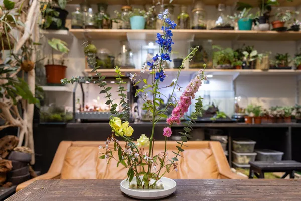 Réalisez votre composition façon ikebana - Image n°3 - Wecandoo