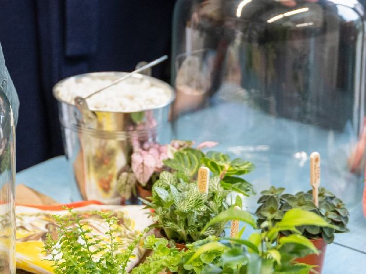 Wecandoo - Réunissez votre équipe et composez vos terrariums - Image n°3