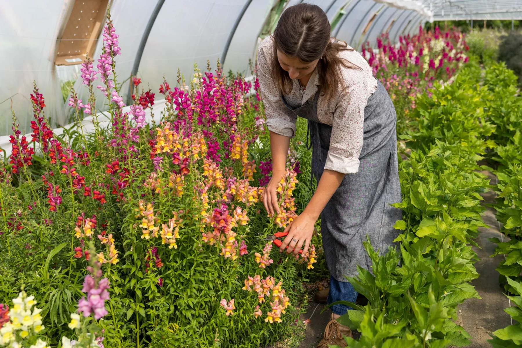 Créez votre bouquet de fleurs fraîches dans un cadre buccolique - Image n°2 - Wecandoo