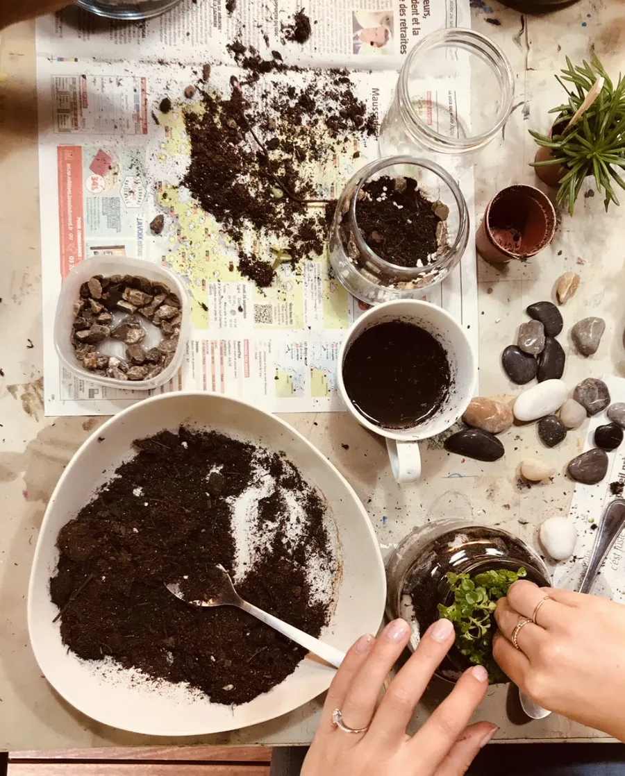 Réalise ton premier terrarium - Image n°1 - Wecandoo