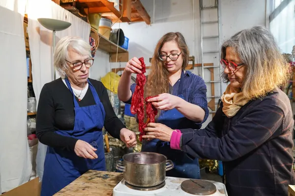 Formez-vous sur une journée à la teinture végétale - Image n°2 - Wecandoo