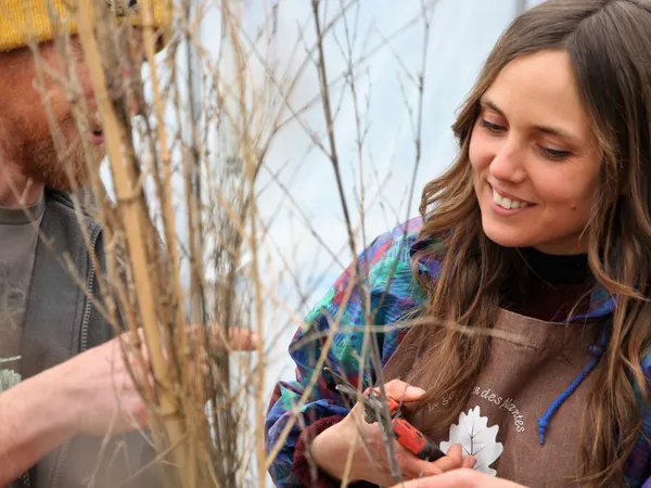 Prenez soin de votre plante grâce à la taille - Afbeelding nr. 3 - Wecandoo