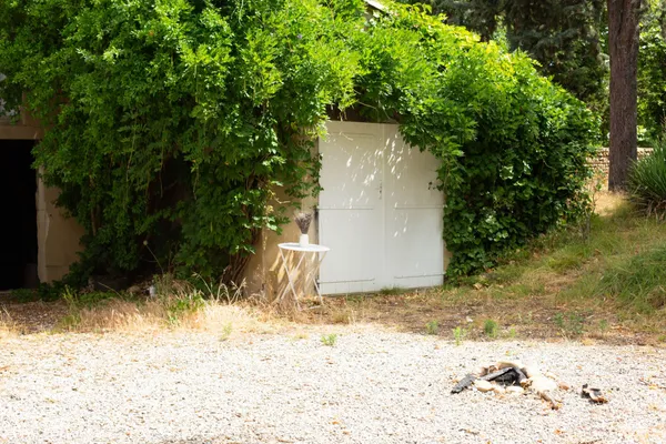 Initiez-vous au modelage de porcelaine - Image n°1 - Wecandoo