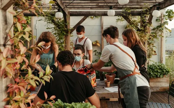 Découvrez la permaculture - Image n°4 - Wecandoo