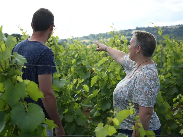 Wecandoo - Dégustez des vins Beaujolais au sein d'un vignoble