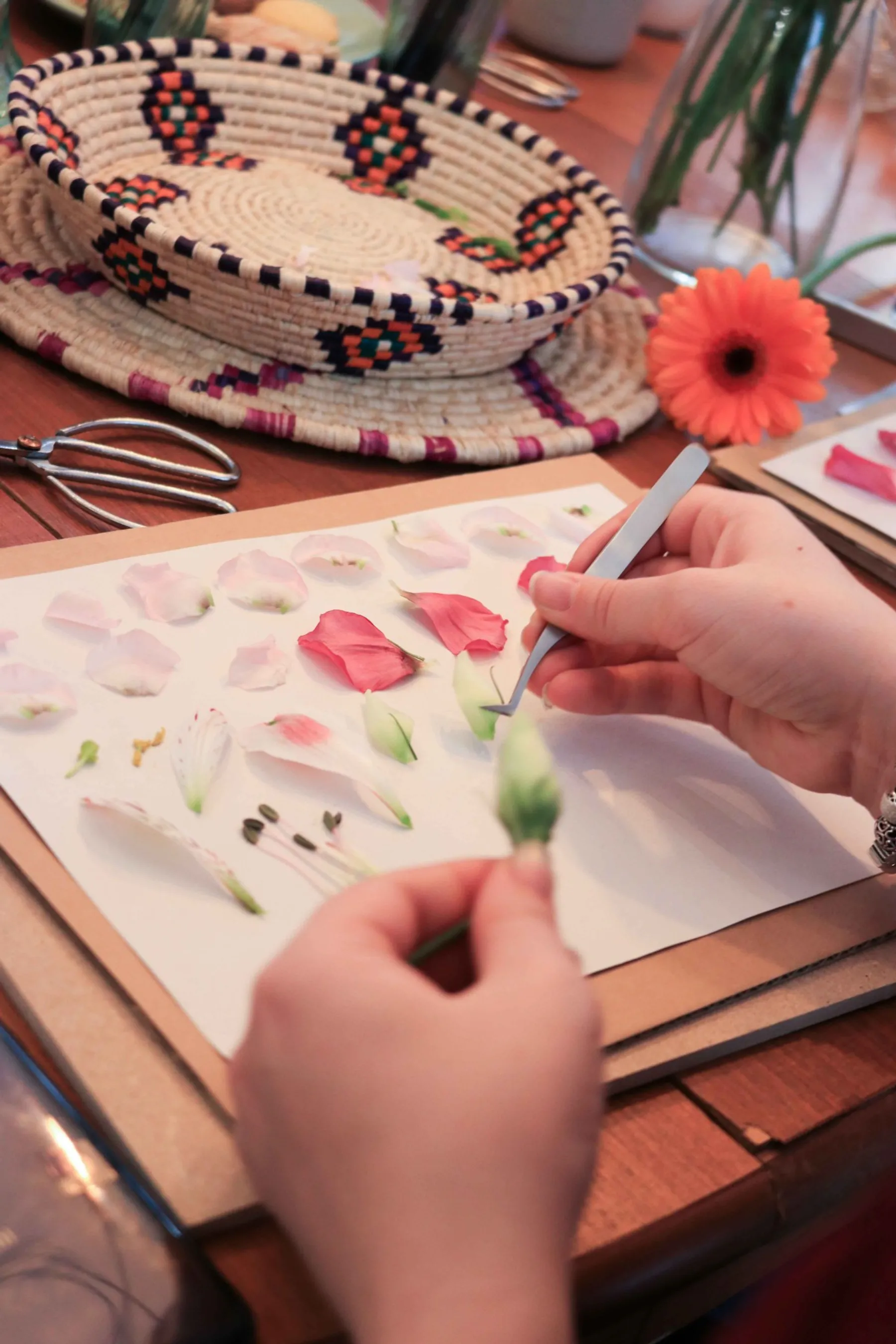 Réalisez votre herbier de fleurs séchées - Image n°4 - Wecandoo