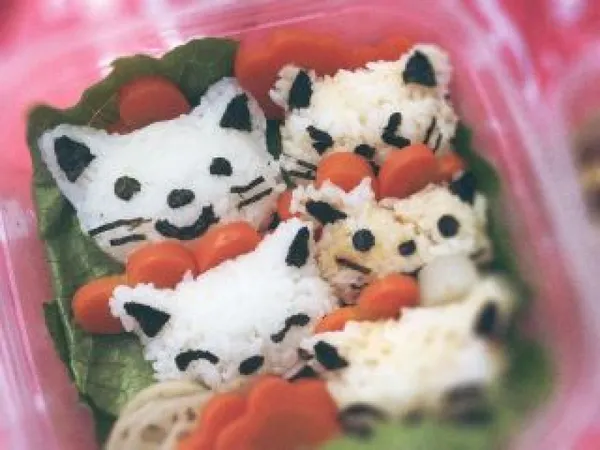 Réalisez vos onigiri - Image n°4 - Wecandoo