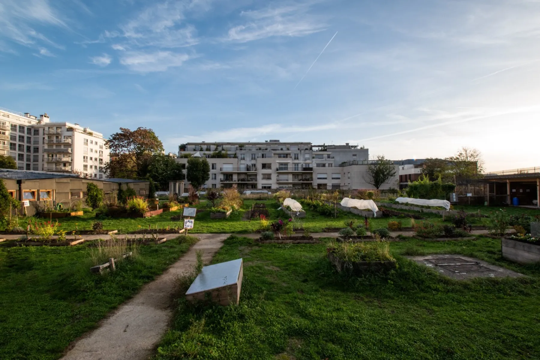 Inspirez votre équipe et découvrez ensemble la culture agroécologique - Image n°1 - Wecandoo