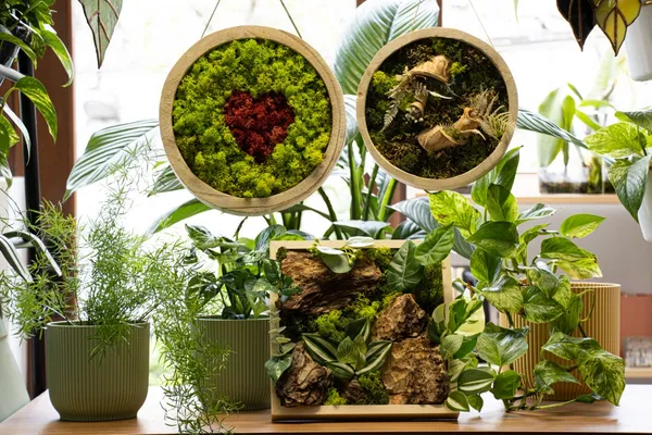 Wecandoo - Hand craft your own green wall decoration (Ø33cm)