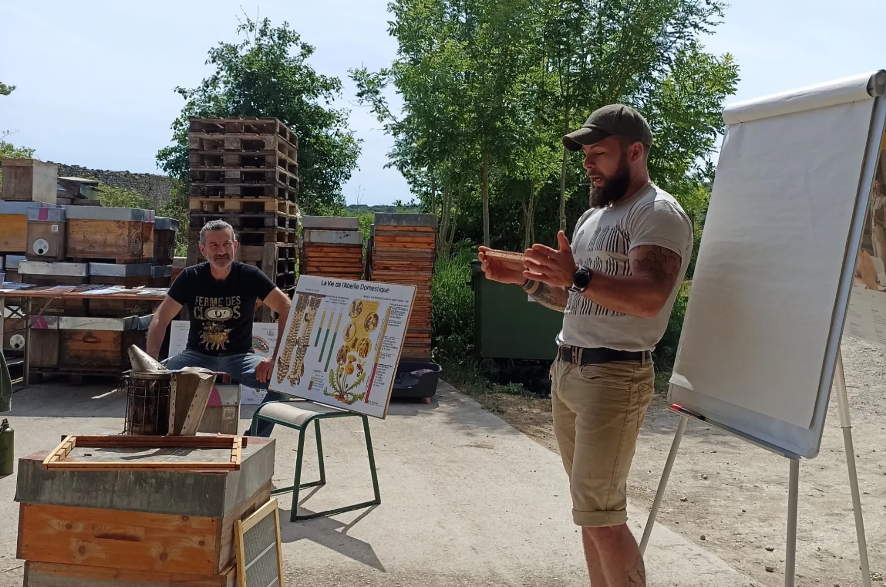 Découvrez l'apiculture - Image n°1 - Wecandoo