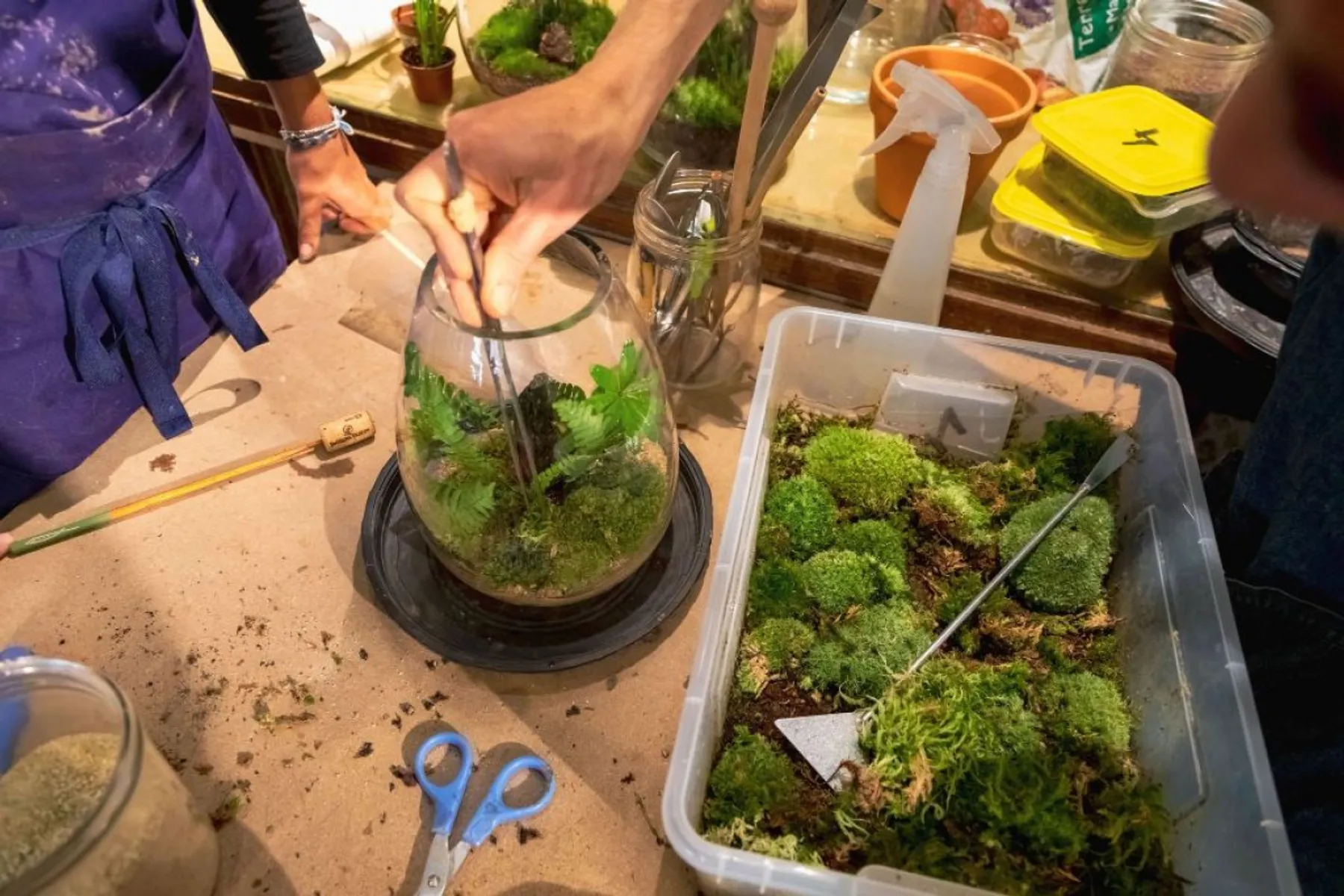 Réalisez un terrarium - Image n°1 - Wecandoo