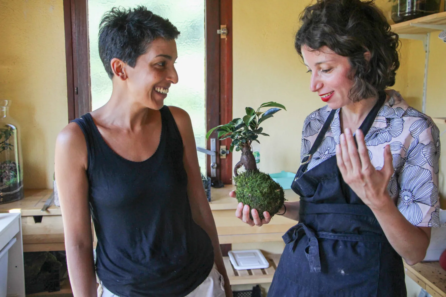 Créez votre Kokedama - Image n°4 - Wecandoo