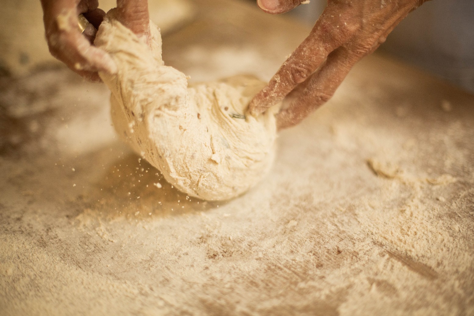 Wecandoo - Réalisez votre levain naturel, vos pains de blé de variétés paysannes - Image n°5