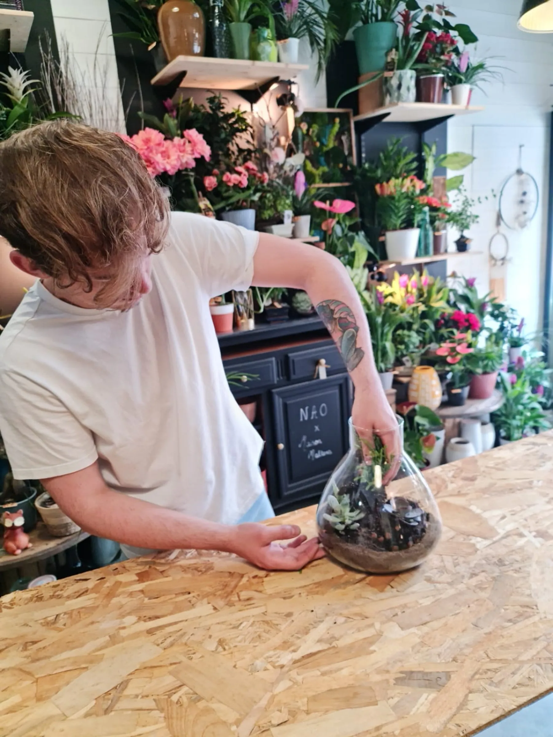 Créez votre terrarium - Image n°4 - Wecandoo