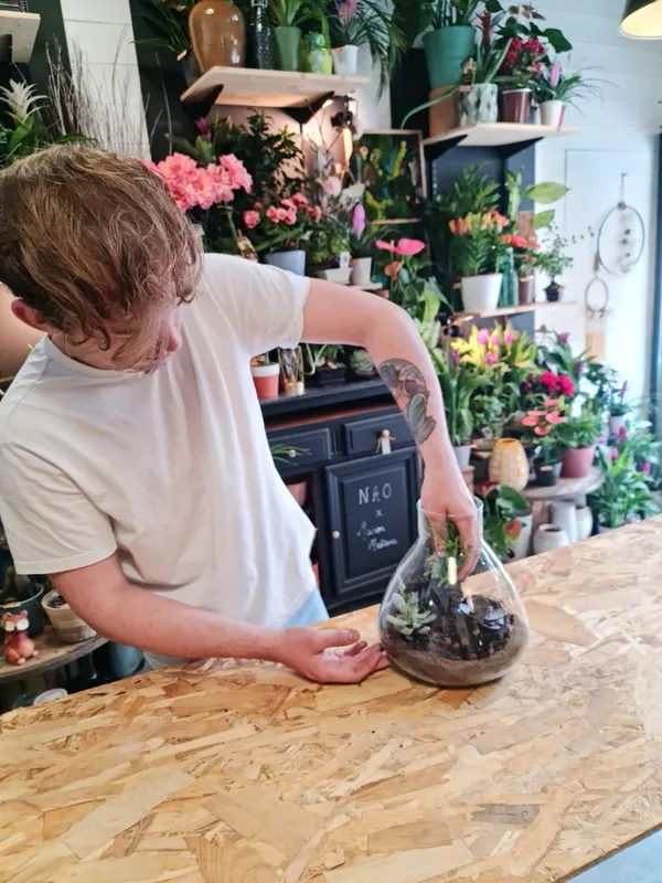 Créez votre terrarium - Image n°4 - Wecandoo