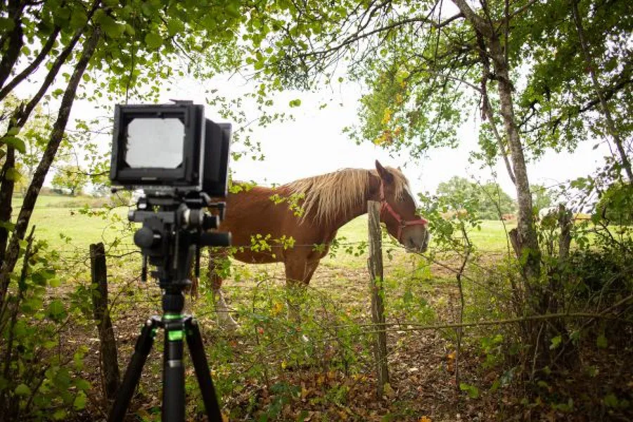 Vivez l'expérience du grand format argentique à la chambre photographique - Image n°1 - Wecandoo