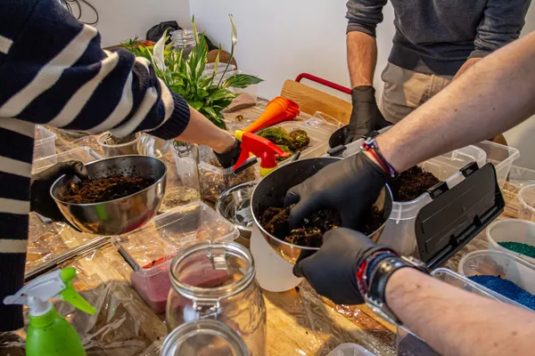 Composez votre terrarium - Image n°2 - Wecandoo