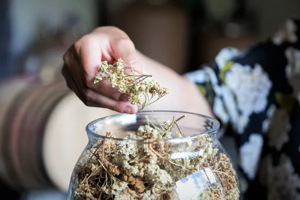 Découvrez la viticulture biodynamique, initiez-vous à la dégustation et repartez avec votre bouteille - Image n°4 - Wecandoo