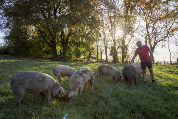 Fabriquez votre pâté et votre jambonneau - Image n°2 - Wecandoo