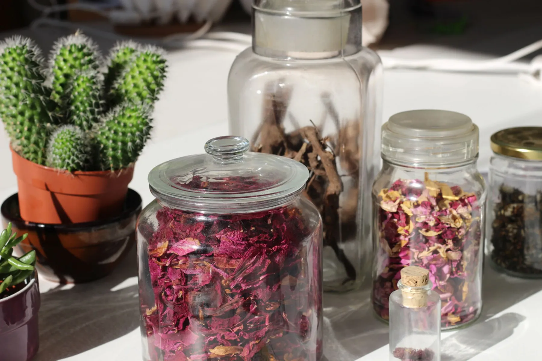 Créez votre duo de crèmes jour et nuit - Image n°2 - Wecandoo