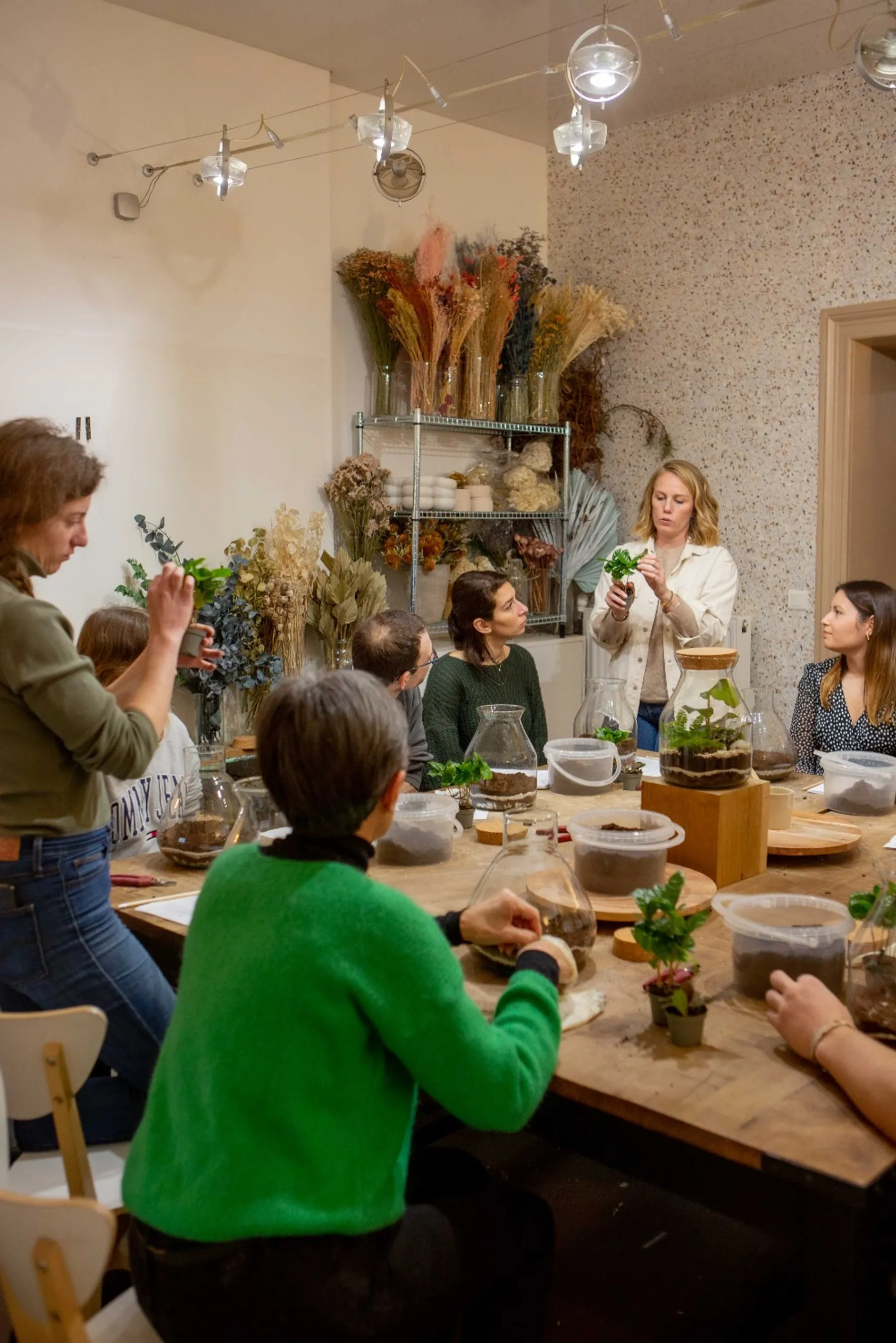 Composez votre terrarium - Image n°3 - Wecandoo