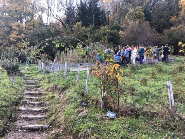 Wecandoo - Visitez un jardin botanique en montagne