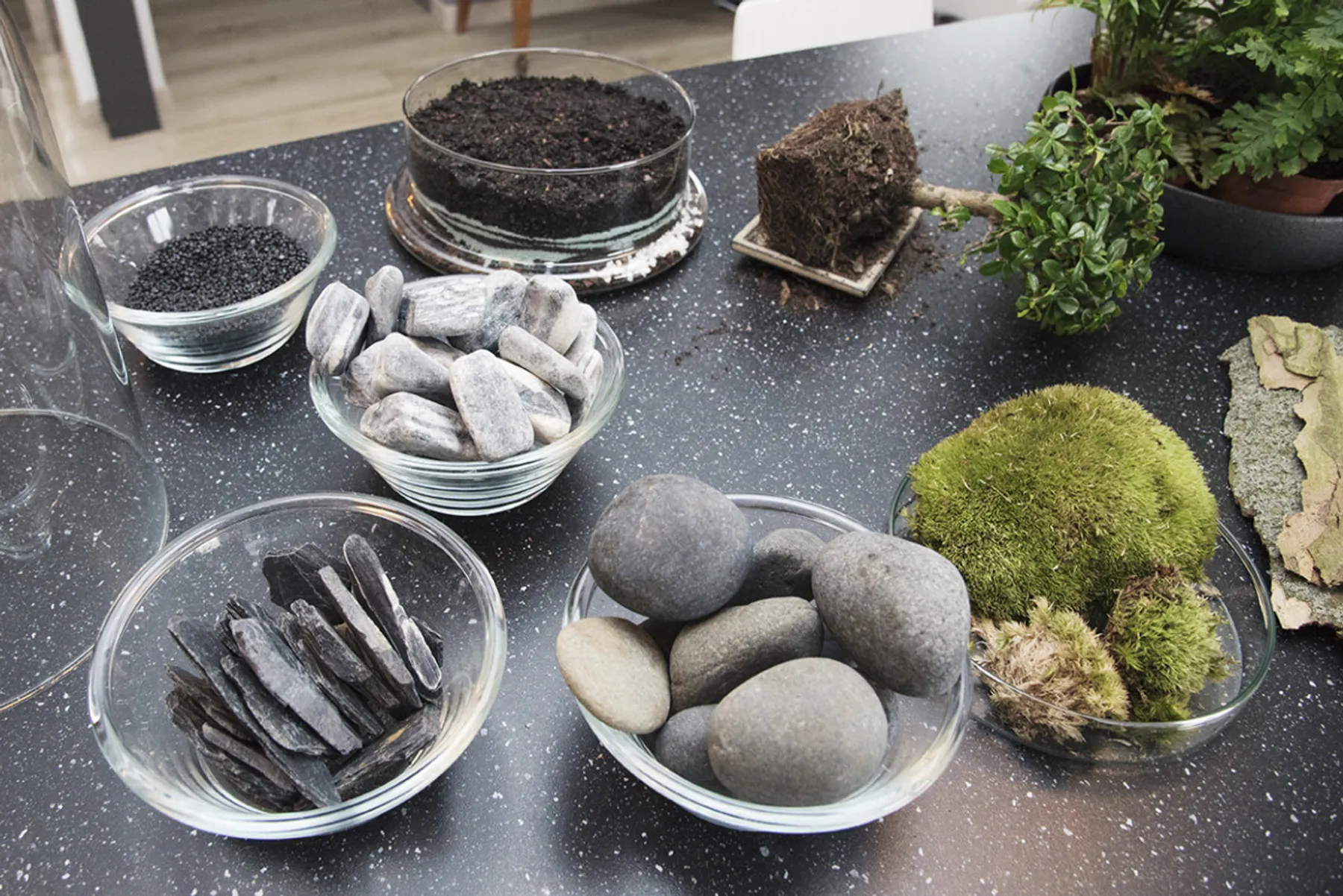 Créez votre petit terrarium - Image n°3 - Wecandoo