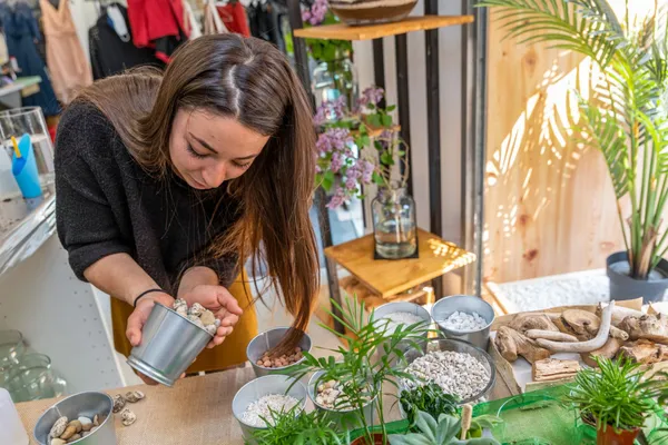 Réalisez votre jardin zen d'intérieur - Afbeelding nr. 2 - Wecandoo