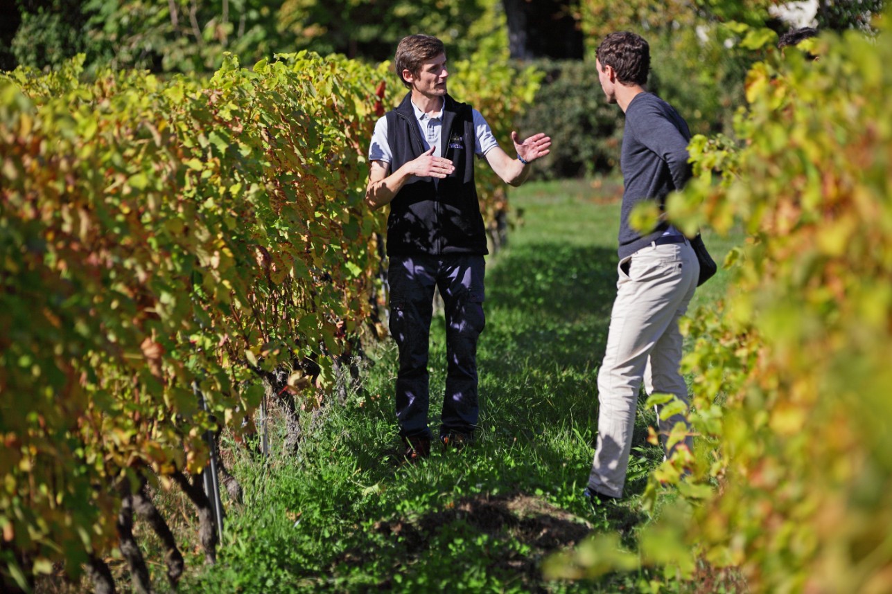 Wecandoo - Visitez un domaine viticole alpin et dégustez des vins de Savoie - Afbeelding nr. 8