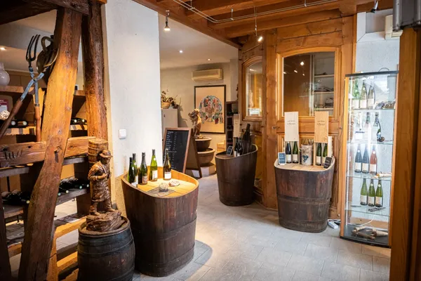 Visitez un vignoble bio et initiez-vous à la dégustation de vins alsaciens - Afbeelding nr. 1 - Wecandoo