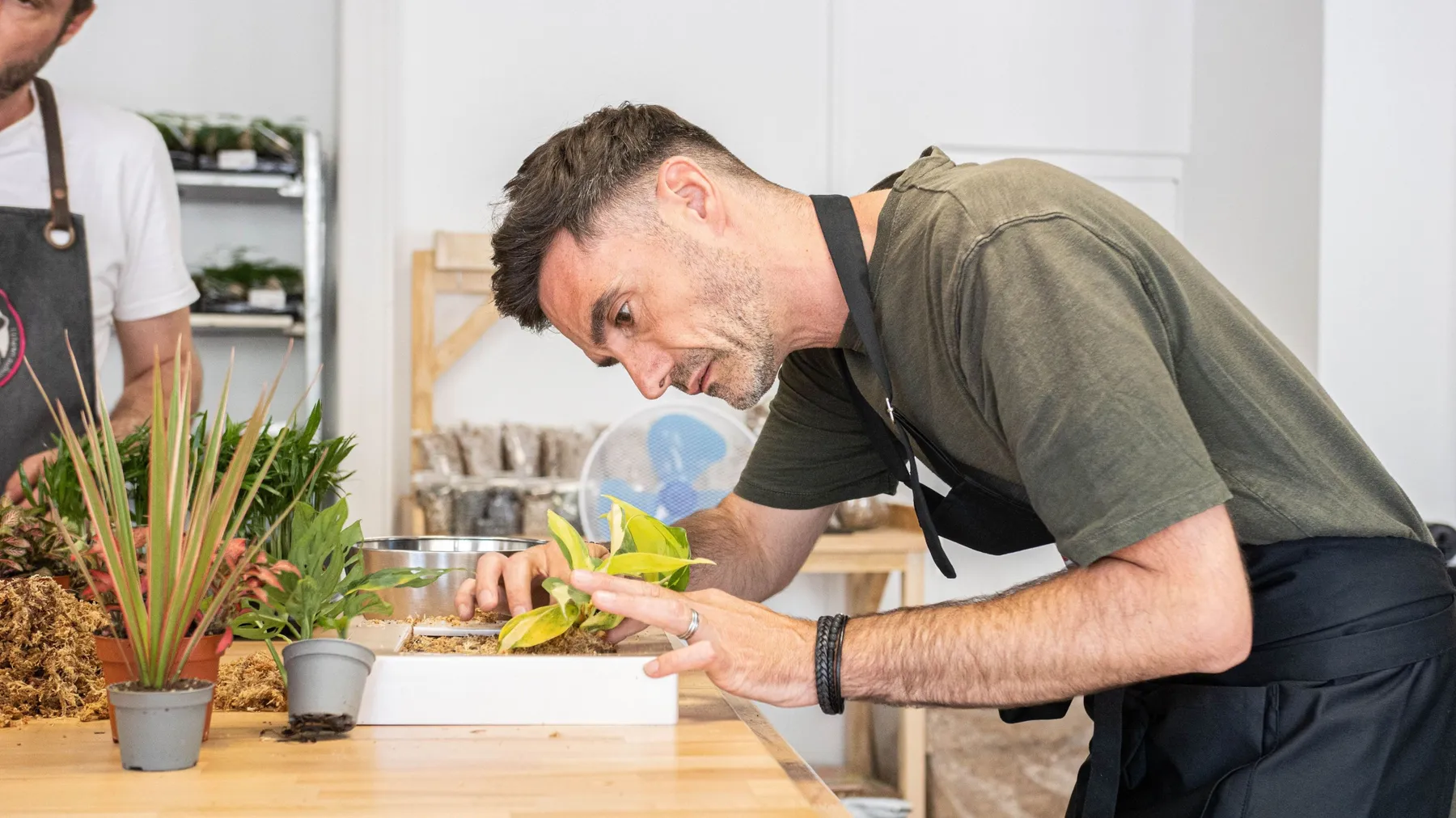 Créez votre cadre végétal de plantes fraîches - Image n°4 - Wecandoo