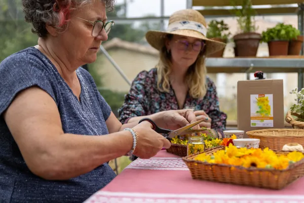 Découvrez l'herboristerie sur une demi-journée - Image n°3 - Wecandoo