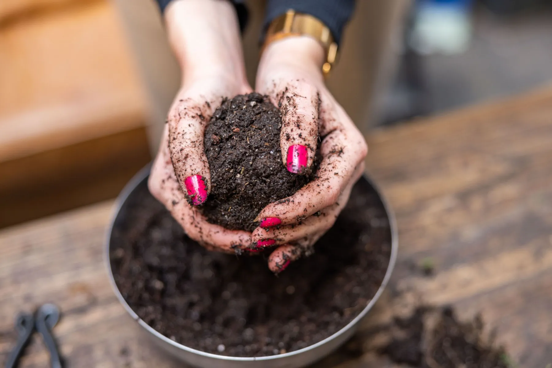 Fabriquez votre Kokedama - Afbeelding nr. 1 - Wecandoo