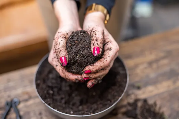 Fabriquez votre kokedama avec Gwenaël et Eugénie - Image n°1 - Wecandoo
