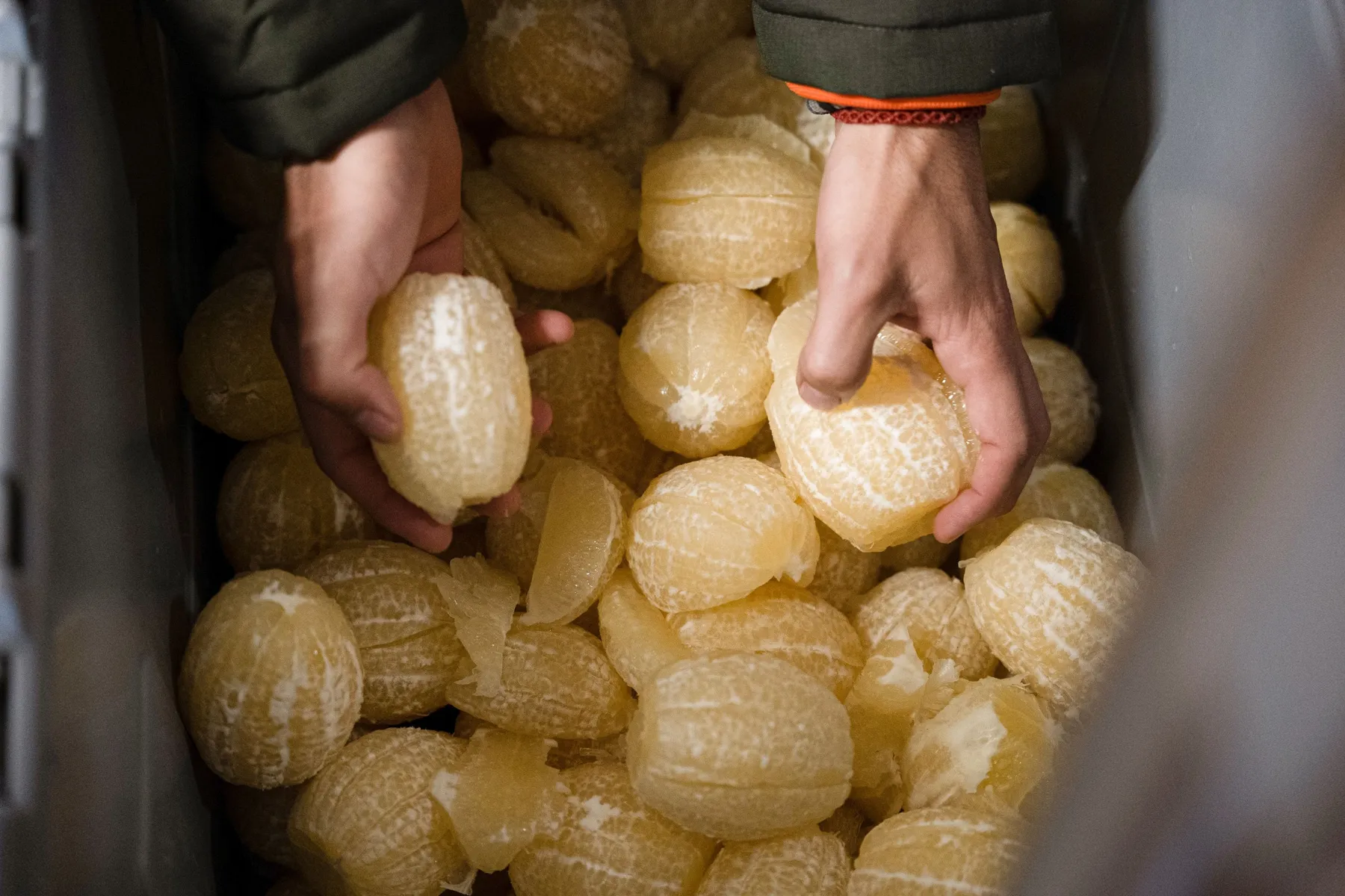 Brassez votre kéfir ou votre ginger beer - Image n°3 - Wecandoo