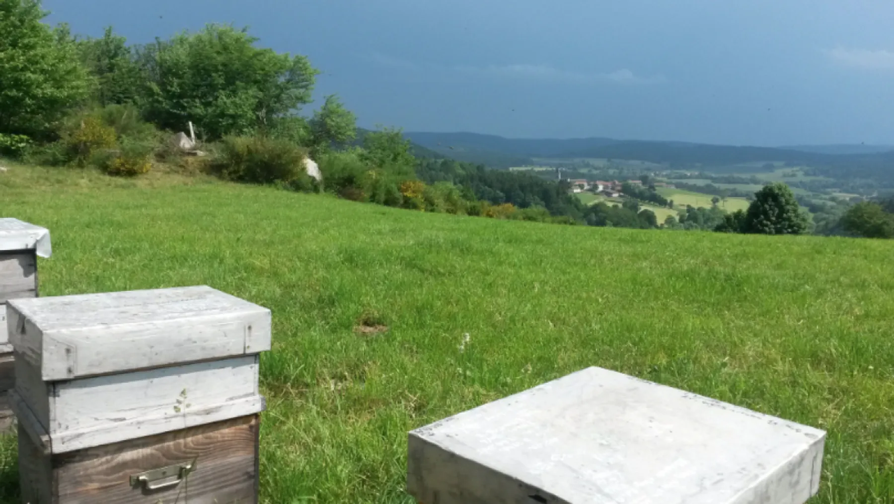 Découvrez l'apiculture - Afbeelding nr. 2 - Wecandoo