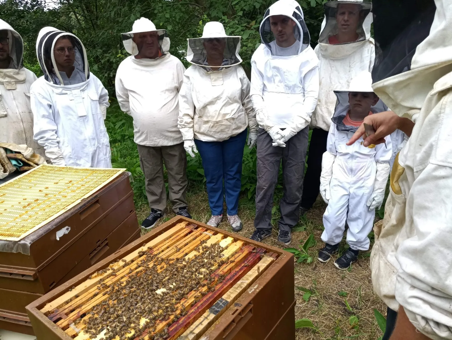 Learn about beekeeping - Image n°4 - Wecandoo