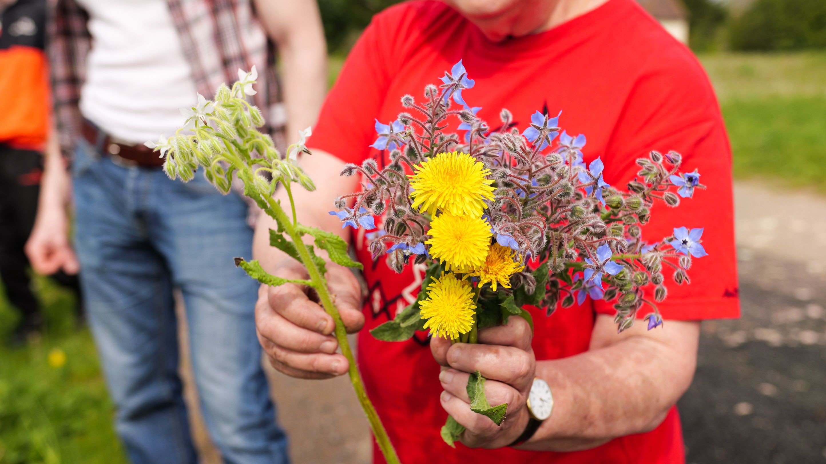 Wecandoo - Préparez vos salade et sirop de fleurs à la ferme - Image n°2