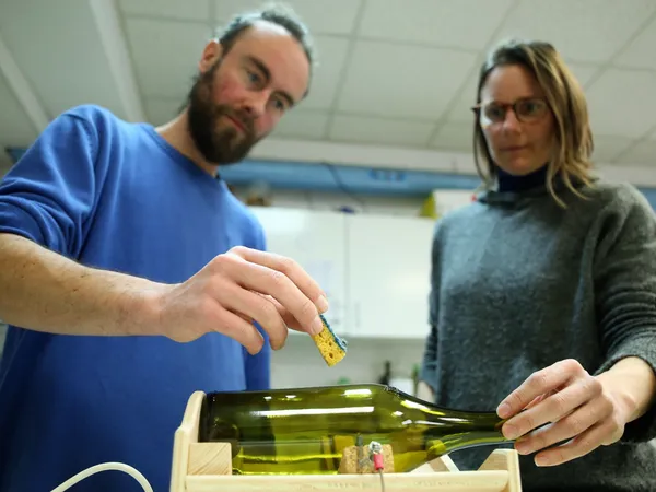 Upcyclez vos bouteilles en verre - Image n°3 - Wecandoo