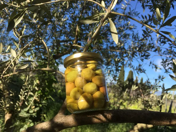 Wecandoo - Récoltez et transformez vos olives
