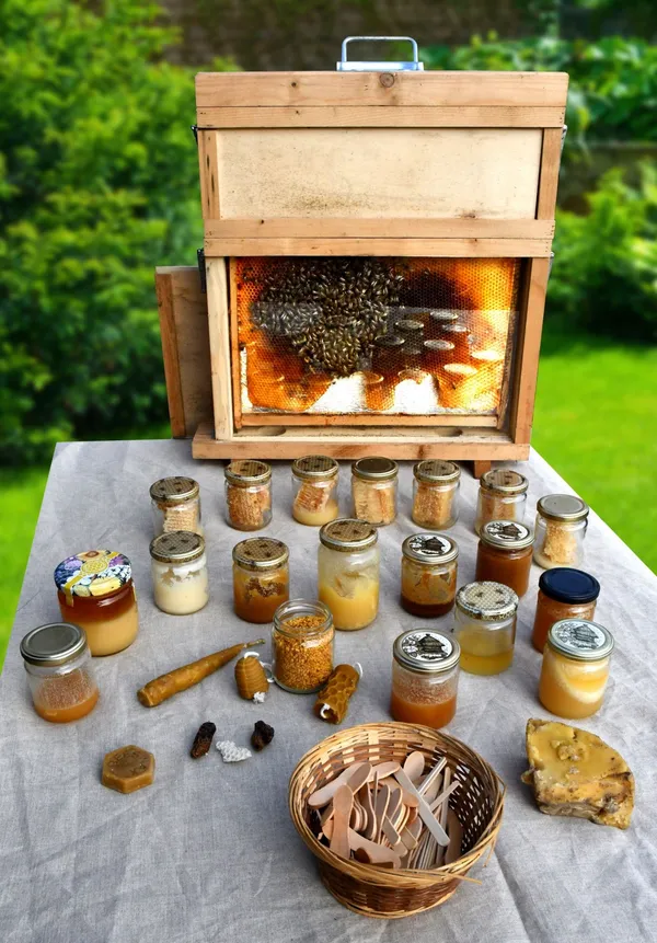 Plongez dans le monde de l'apiculture - Image n°4 - Wecandoo