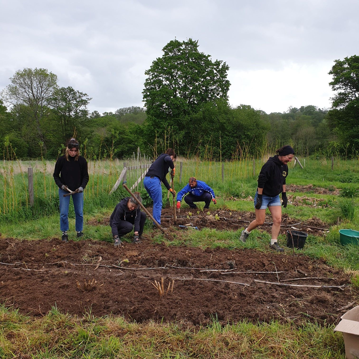 Wecandoo - Initiez-vous à la permaculture - Image n°4