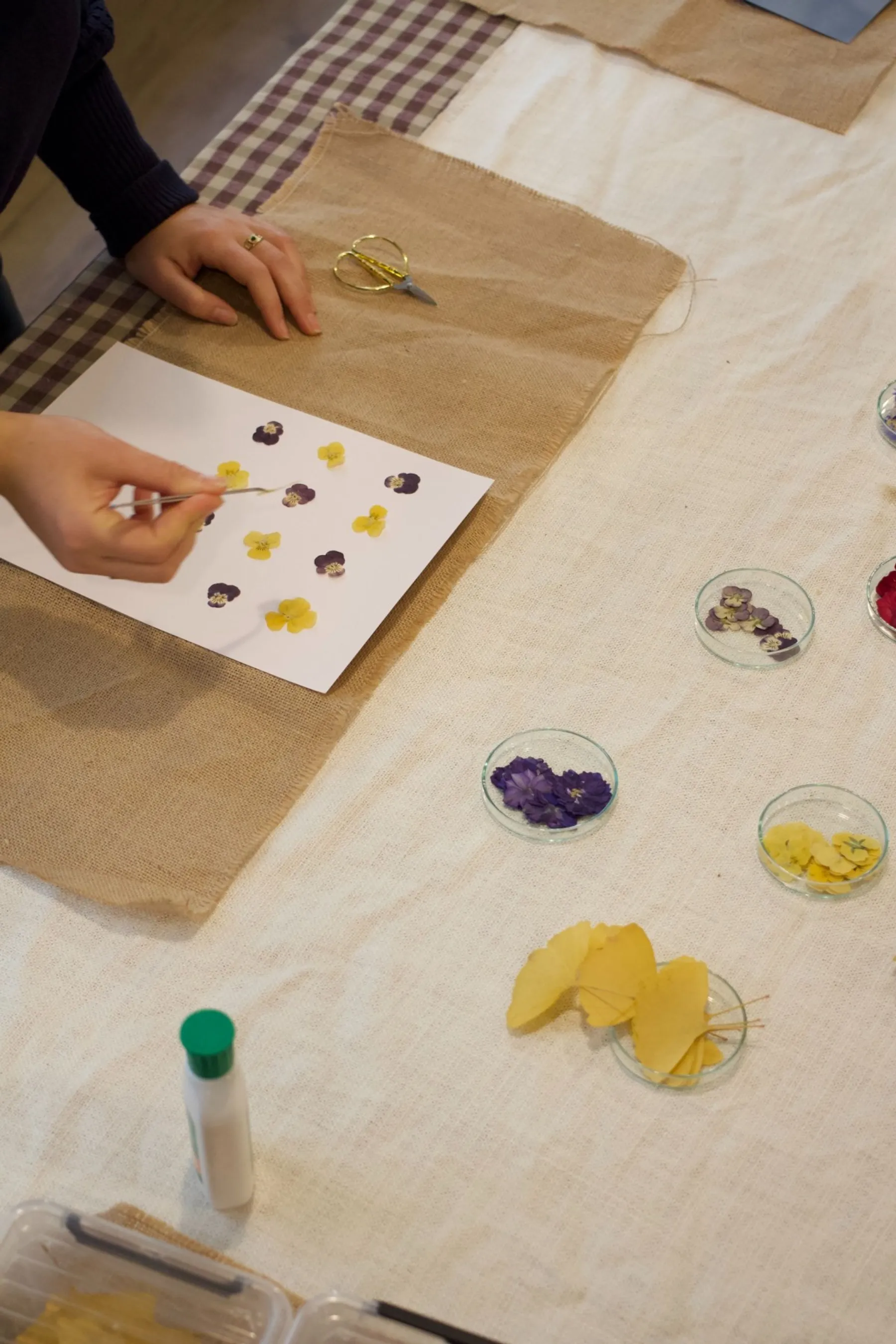 Composez votre herbier - Afbeelding nr. 4 - Wecandoo