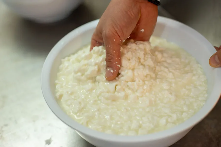 Fabriquez et dégustez du halloum artisanal - Image n°1 - Wecandoo