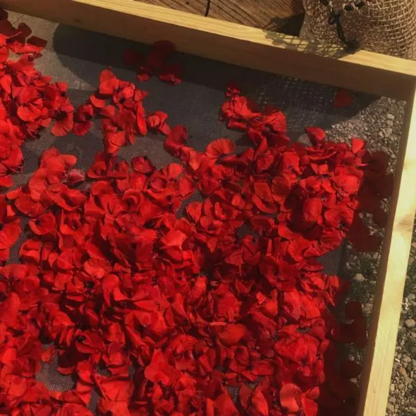 Réalisez vos encres 100% naturelles - Image n°3 - Wecandoo