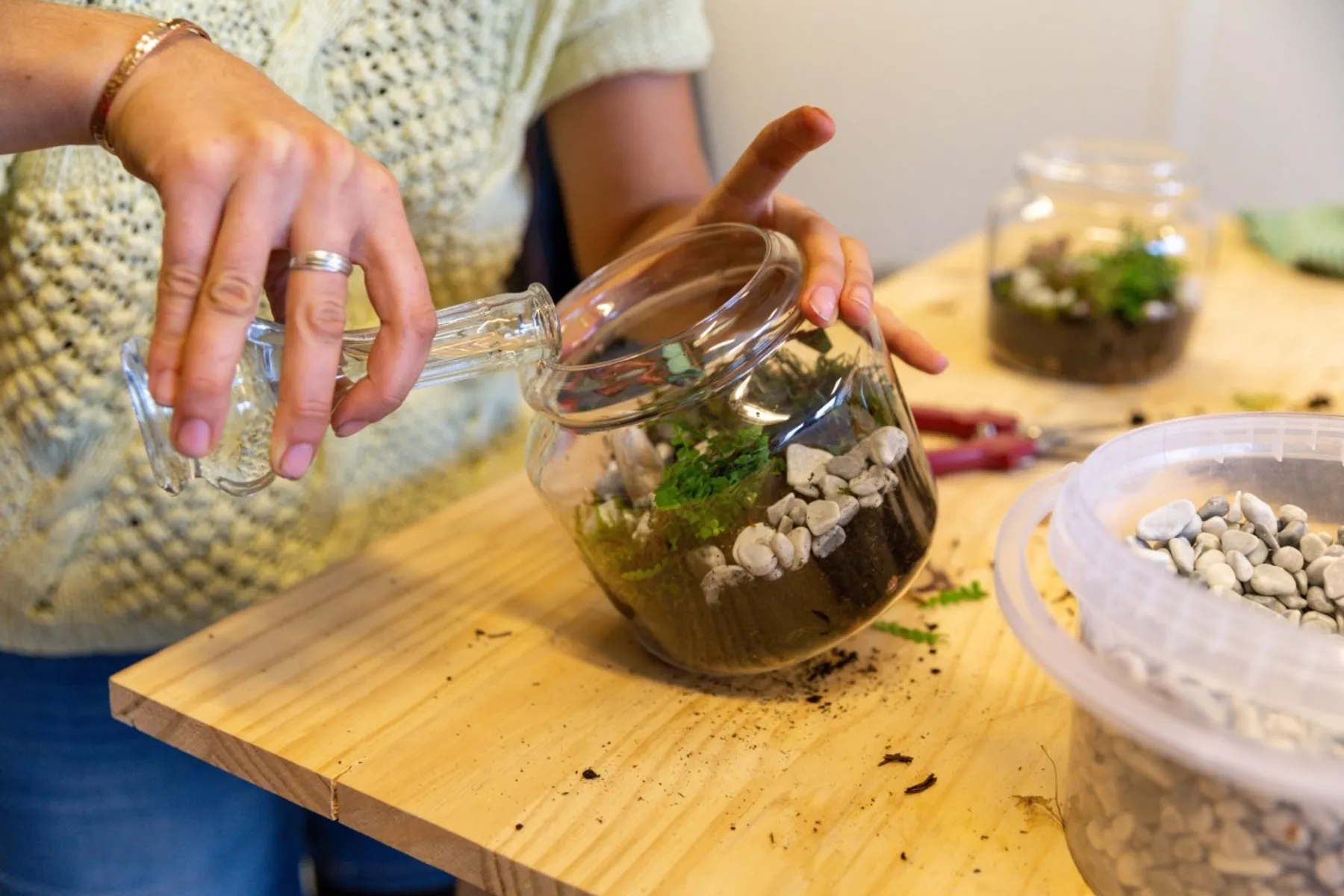 Réalisez votre petit terrarium - Image n°4 - Wecandoo