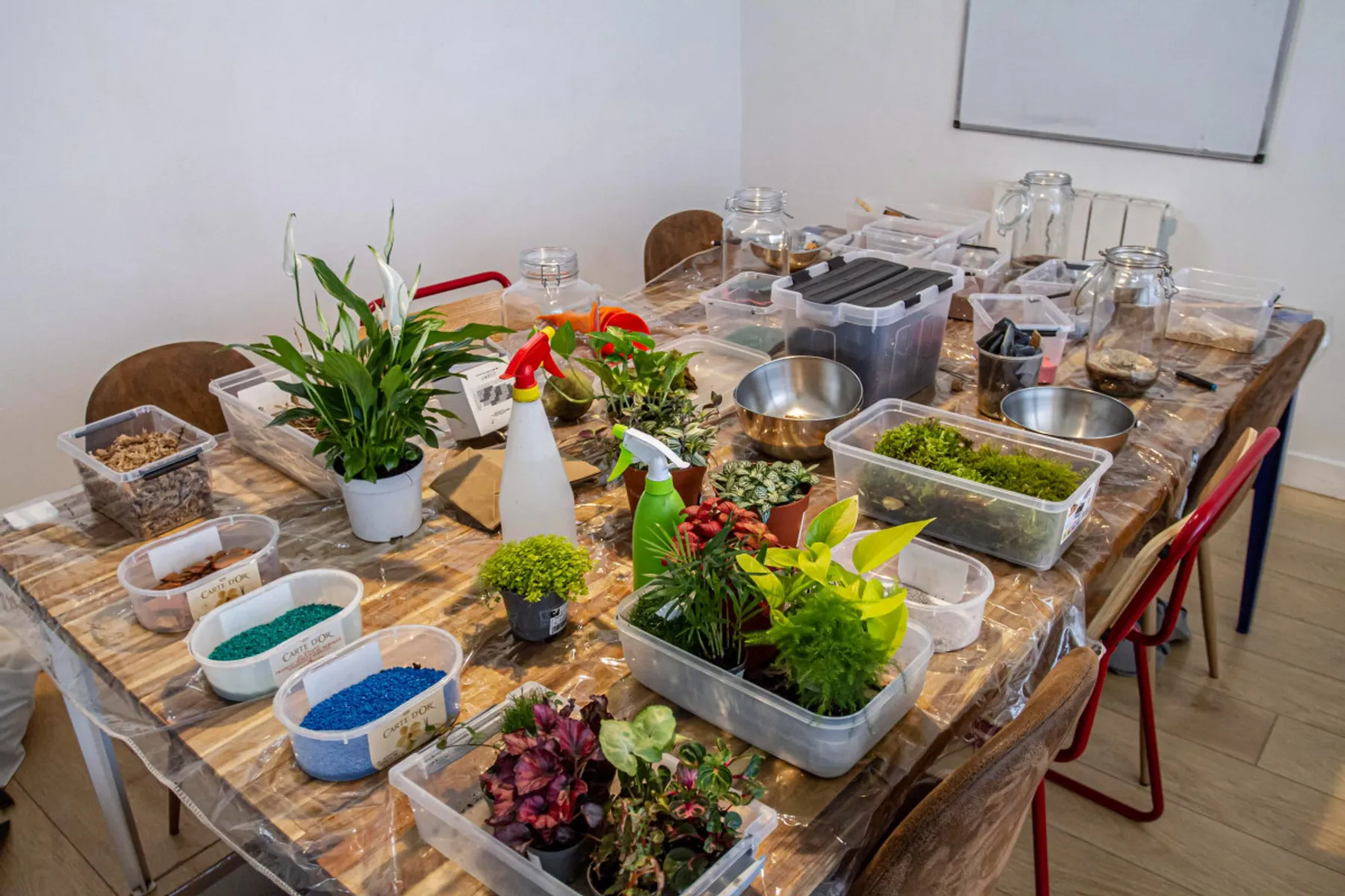 Composez votre terrarium - Image n°1 - Wecandoo