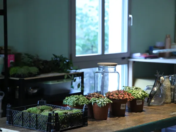 Réalisez votre petit terrarium - Afbeelding nr. 1 - Wecandoo